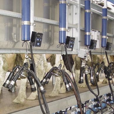 دستگاه شیردوشی چیست و چگونه کار میکند؟ راهنمای کامل برای گاوداریهای صنعتی