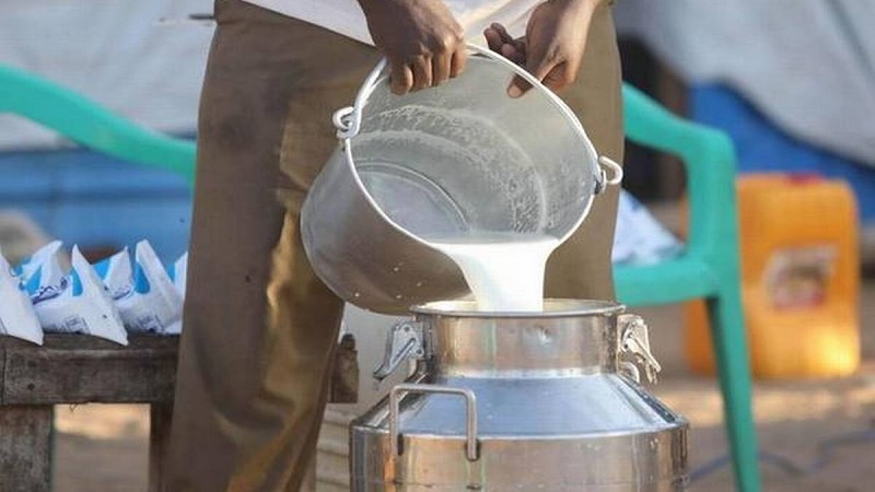 درآمد از فروش شیر