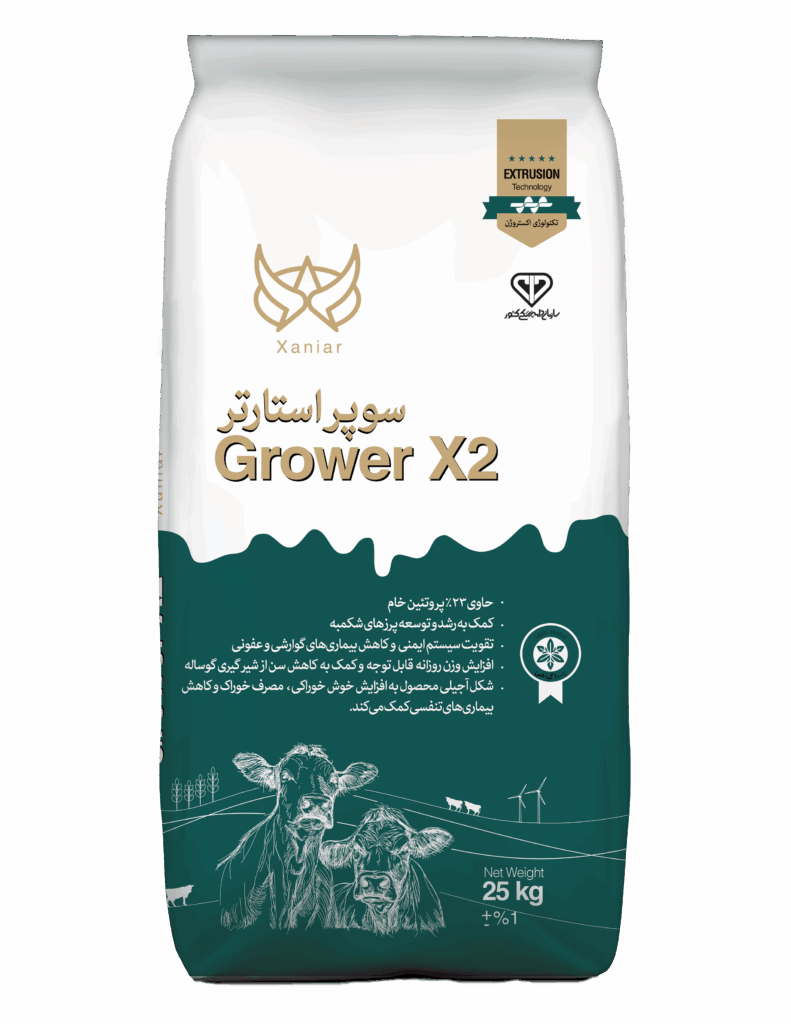 سوپر استارتر