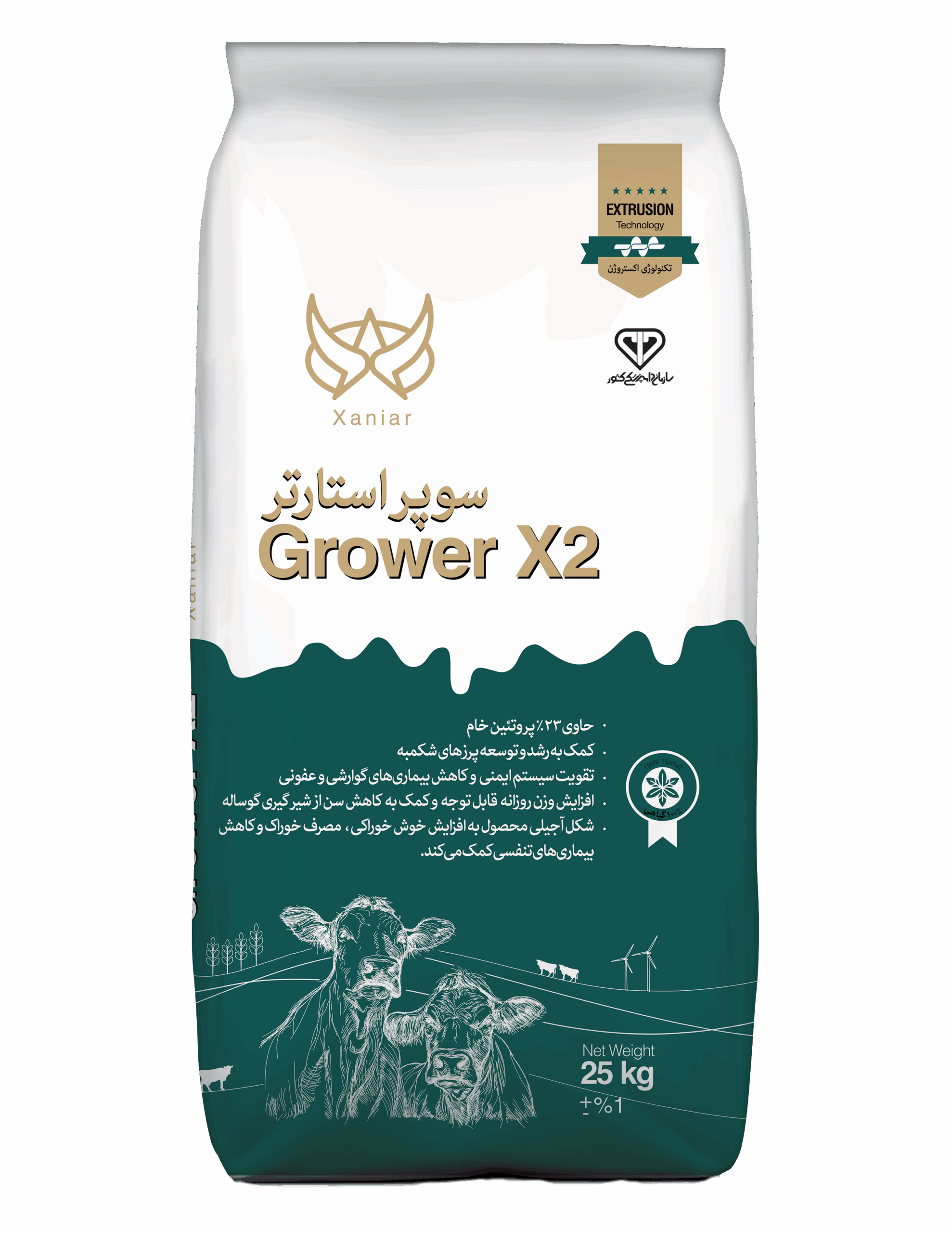 سوپر استارتر