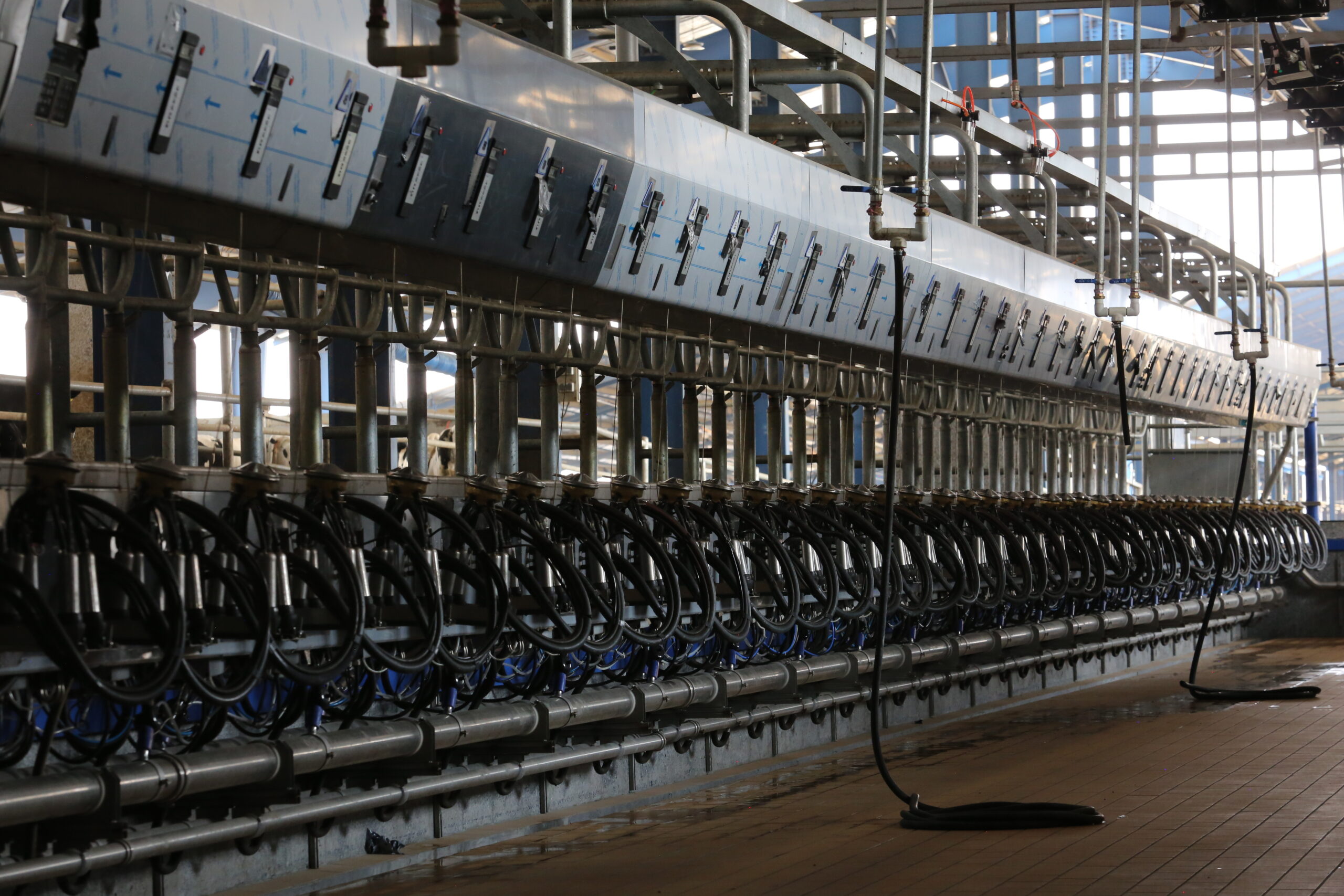 شیردوش ۲۴ واحدی میهن