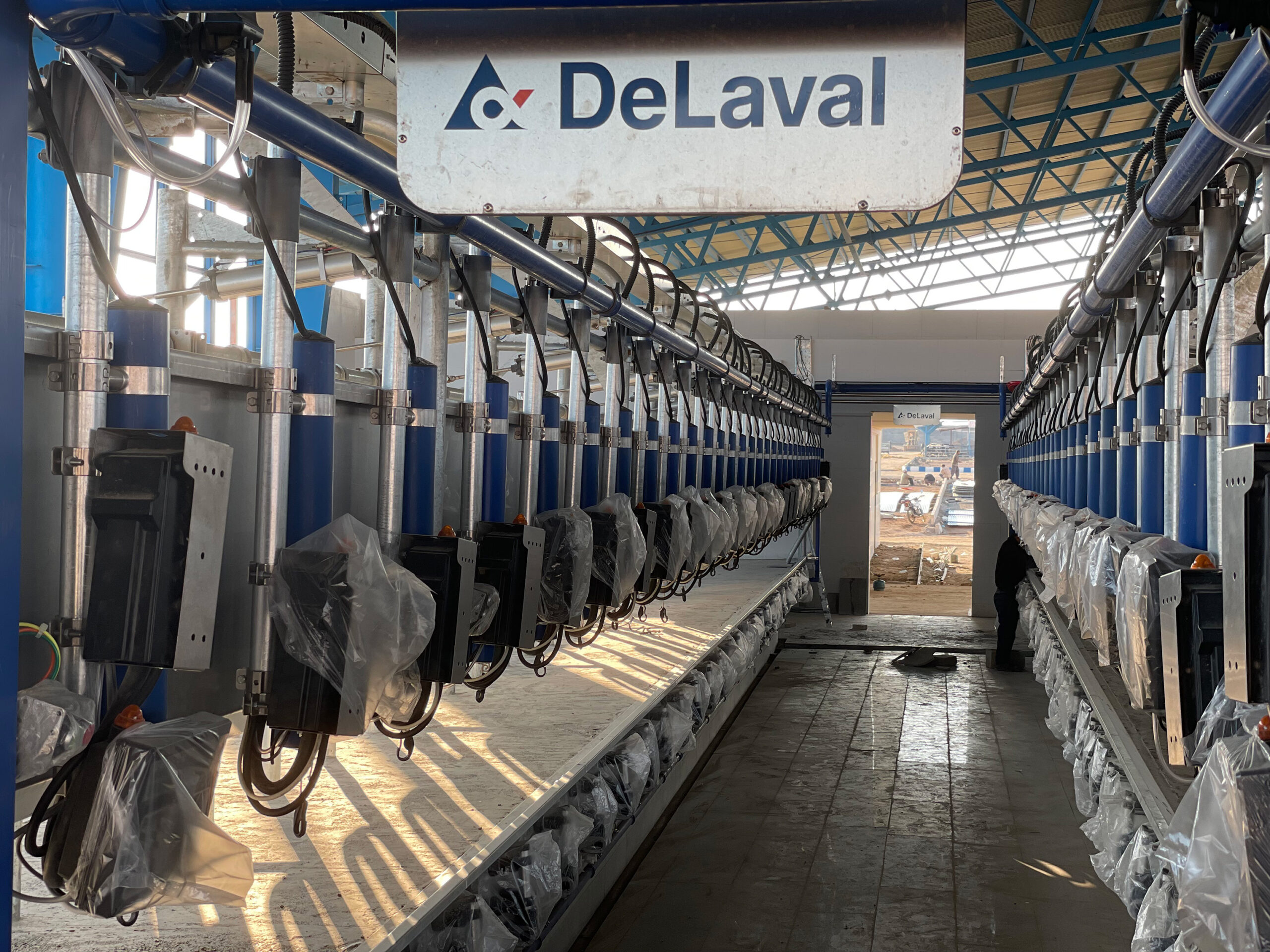 گلدشت نمونه دلفان