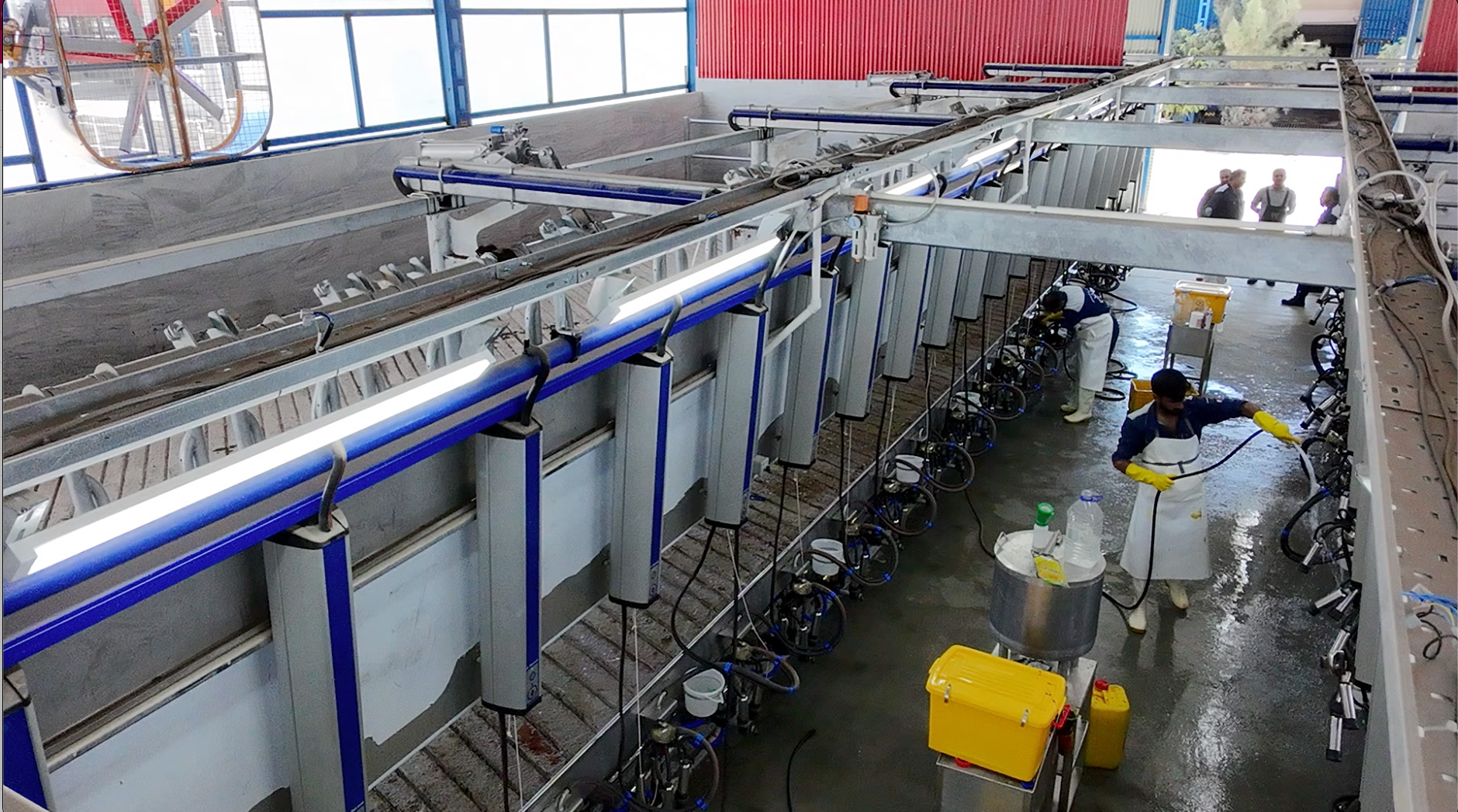 دامداری علینقیان