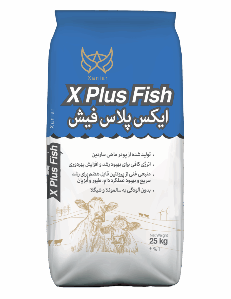 ایکس پلاس فیش