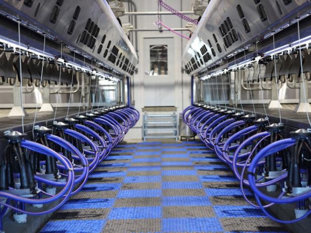 شیردوش پارالل دلاوال