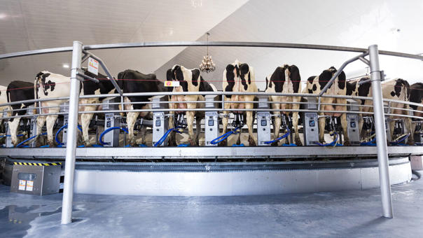 شیردوش چرخشی