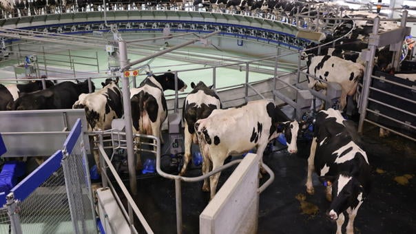 شیردوش روتاری دلاوال