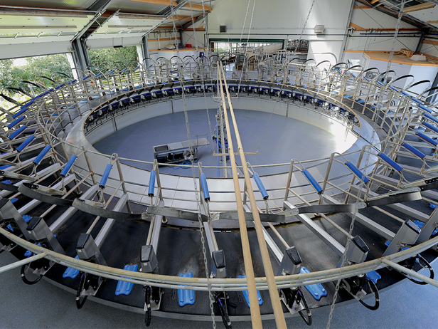 شیردوش روتاری