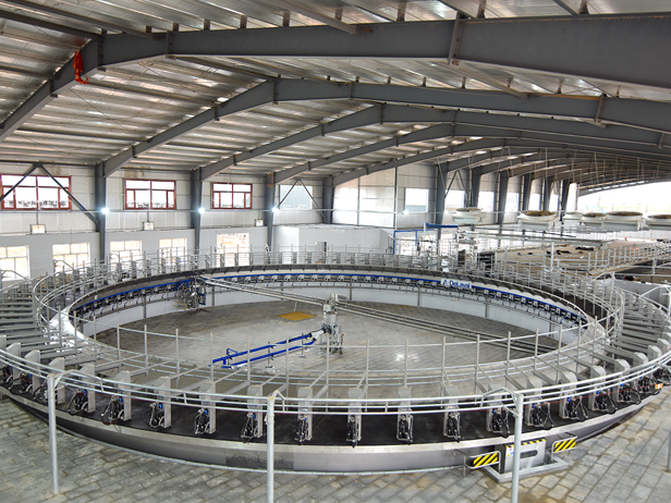 تفاوت روتاری دلاوال در شیردوشی دامداریها