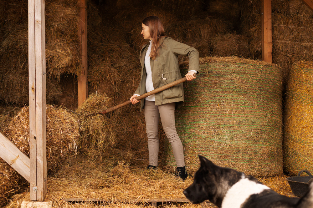 نهاده دامی چیست؟