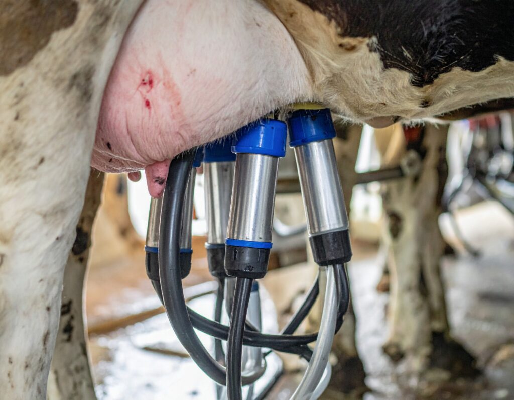 درآمد حاصل از فروش شیر